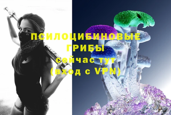 эйфоретик Богданович